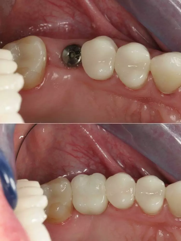 گالری تصاویر