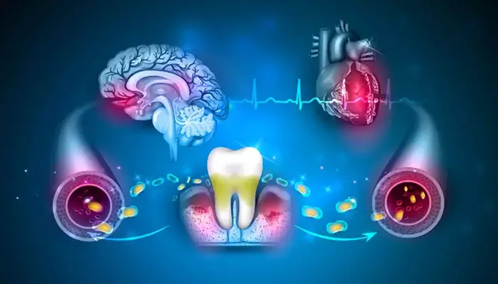 بررسی-تأثیر-مواد-دندانپزشکی-بر-سلامت-بدن1