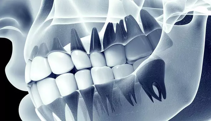 دانستنی-های-جالب-دنداان1