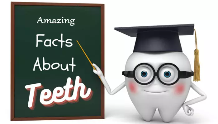 دانستنی-های-جالب-دنداان2